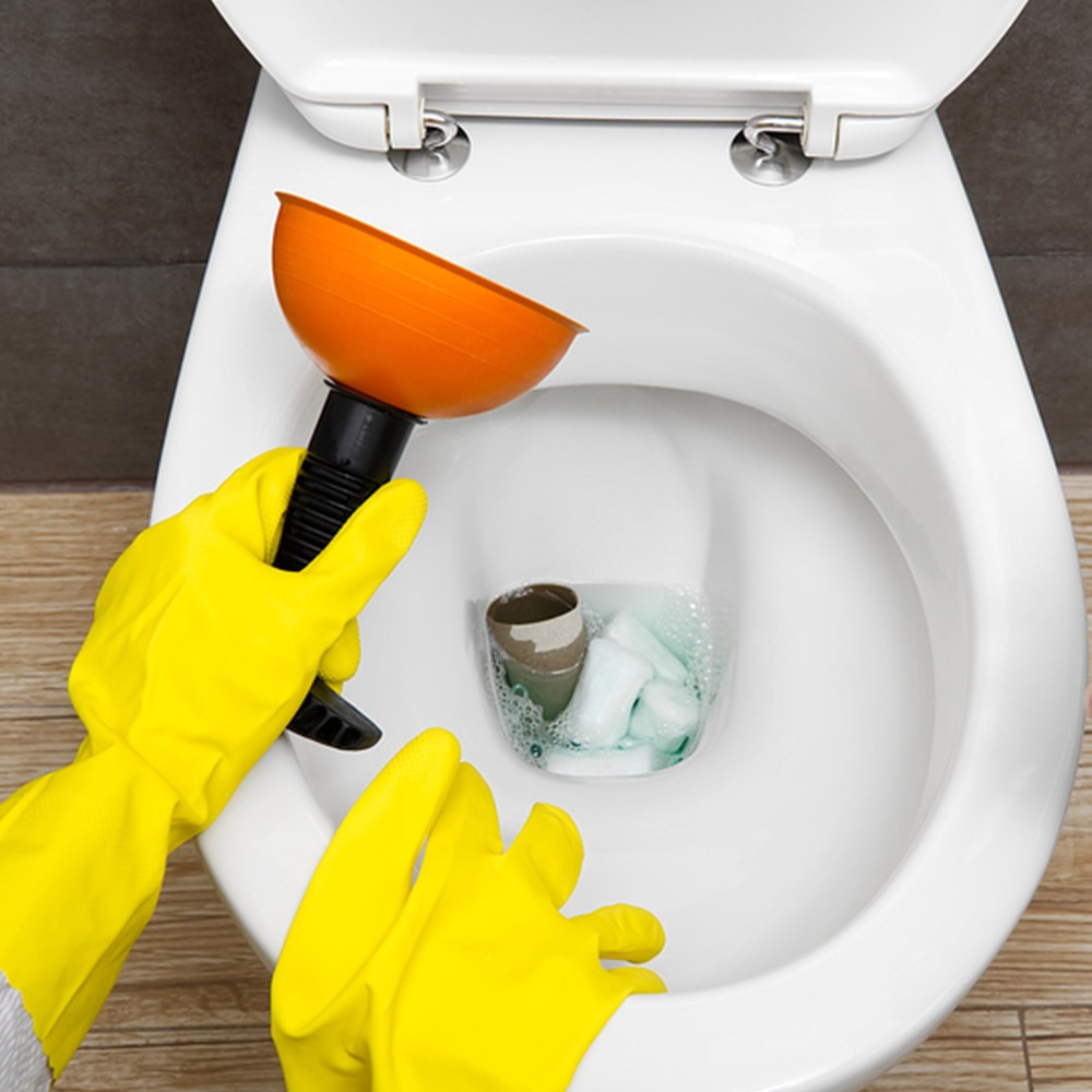 Clogged Toilet Ottawa West | Let's Get Your Toilet Flushing Again!